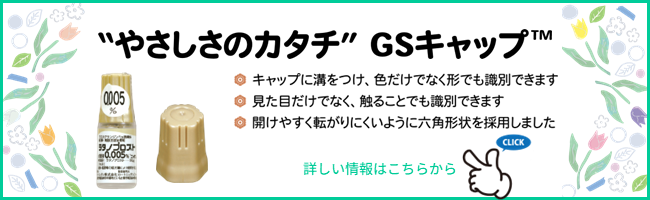GSキャップ